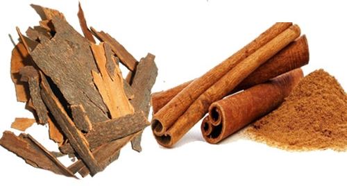 Cinnamon - The Miracle Bark