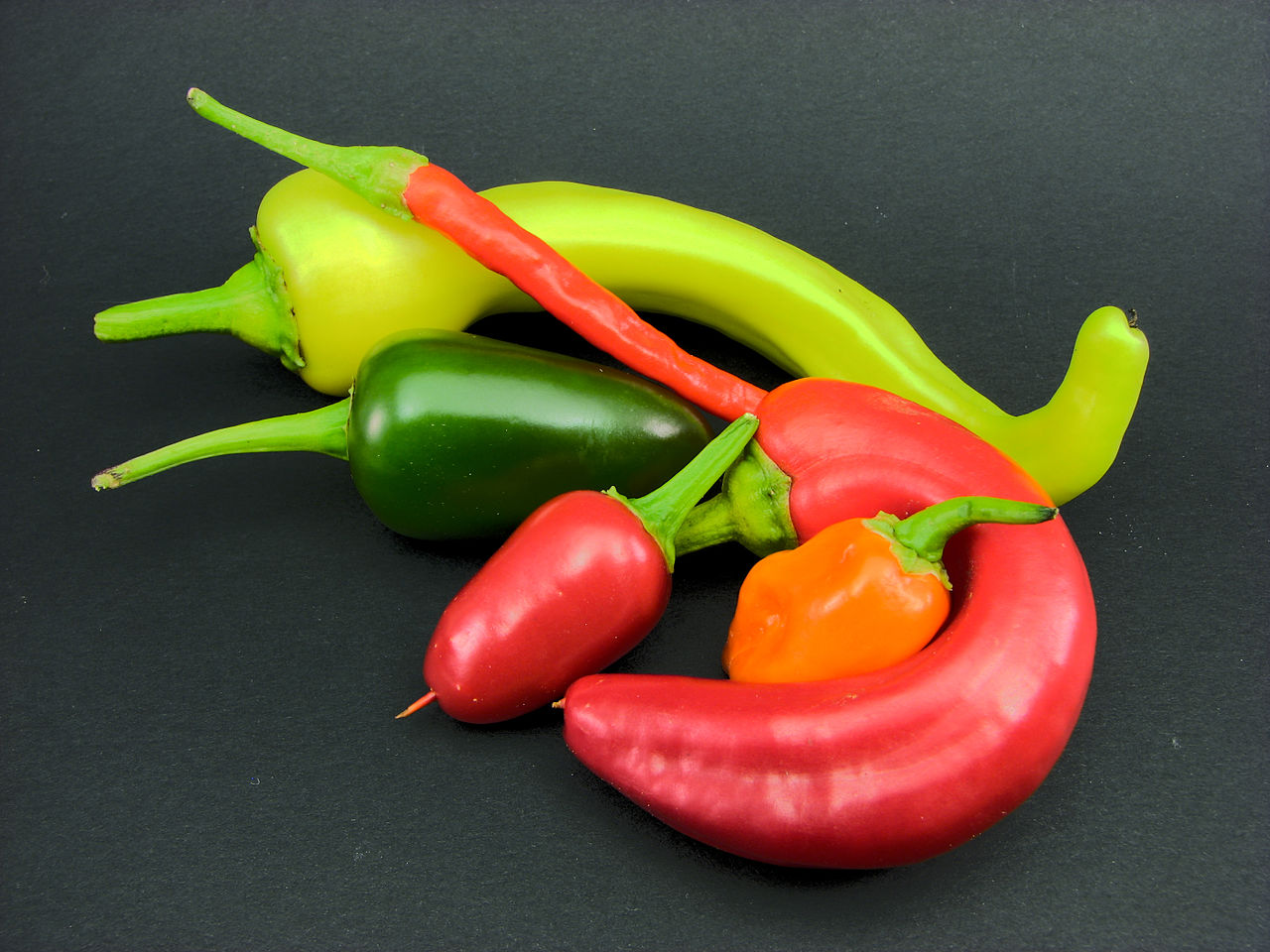 The Vibrant Chilly