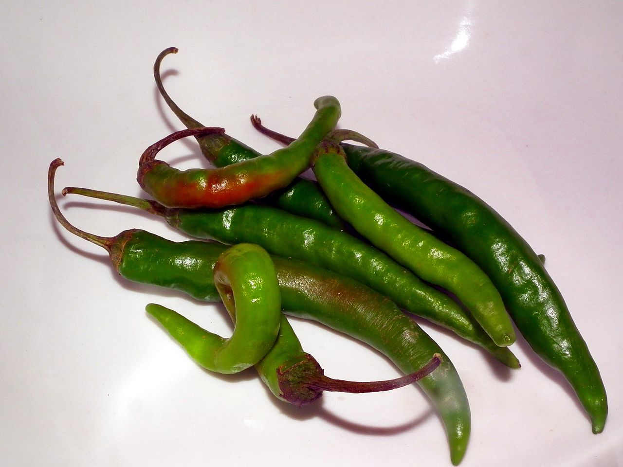The Vibrant Chilly