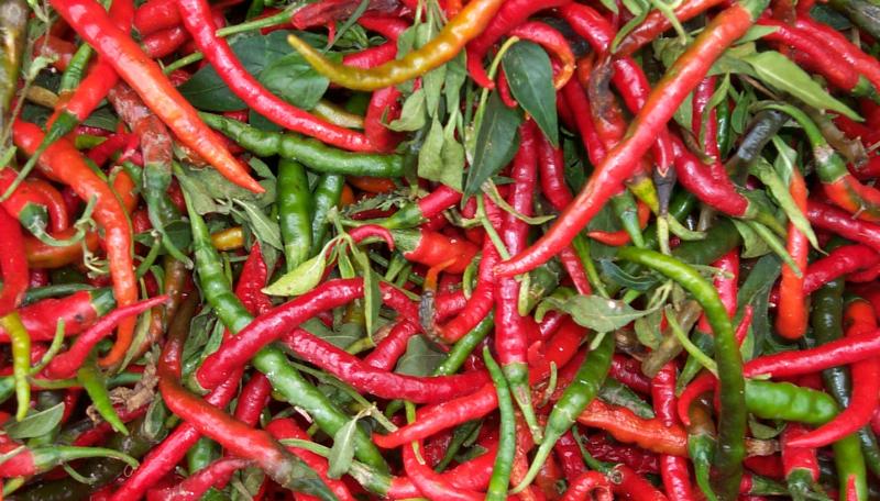 The Vibrant Chilly