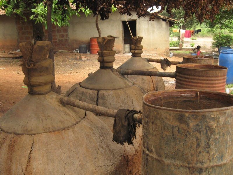 feni