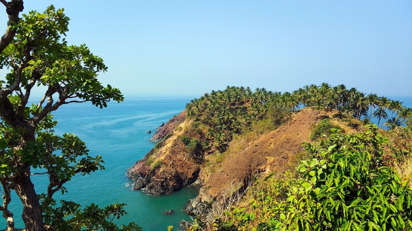 Goan Cuisine