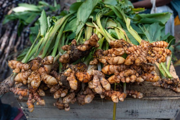 Turmeric