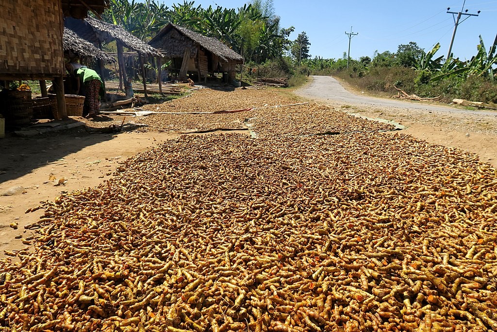 Turmeric