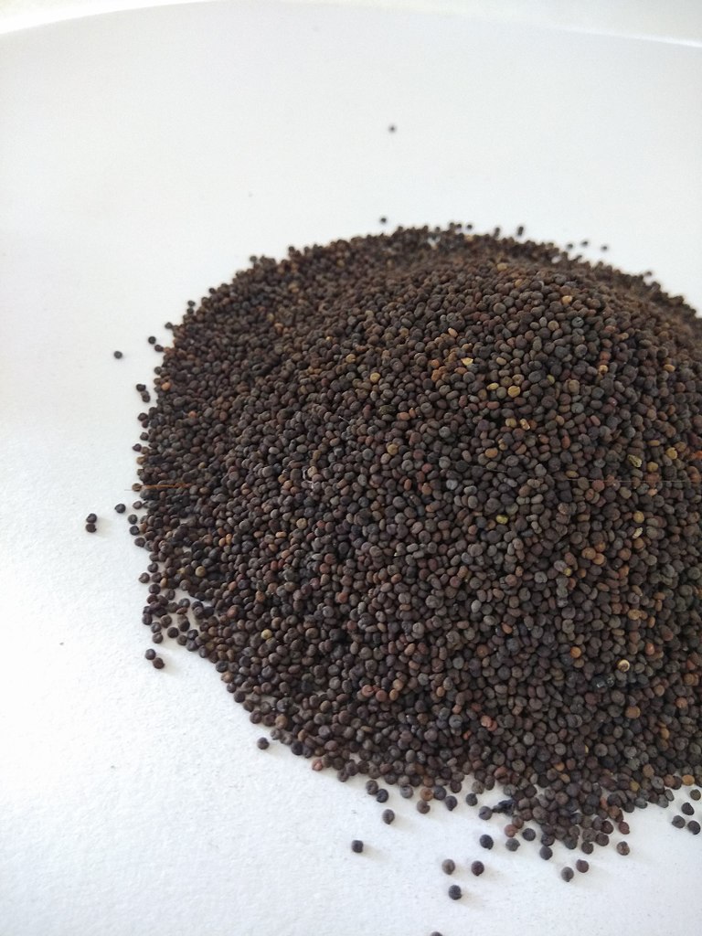 seed
