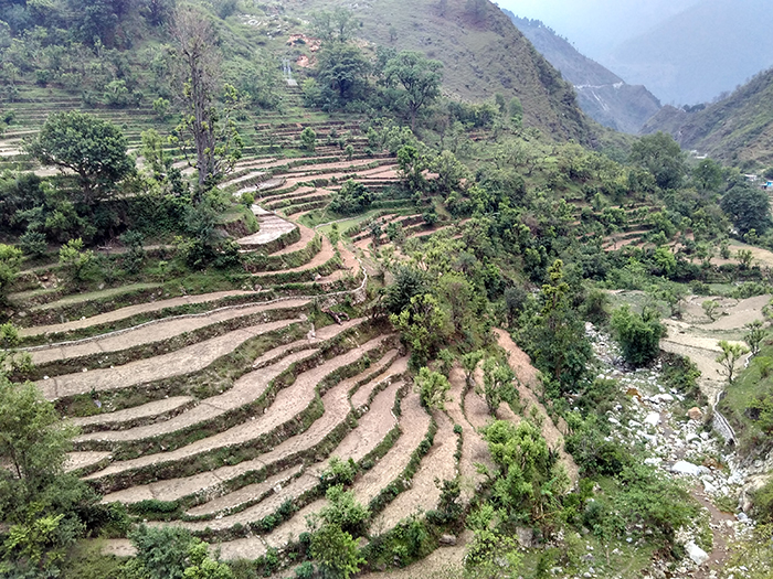 Uttarakhand
