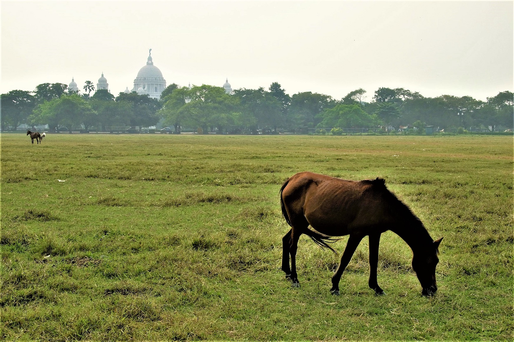 The Swatantrata Senani Smarak, Image Source: Wikimedia Commons