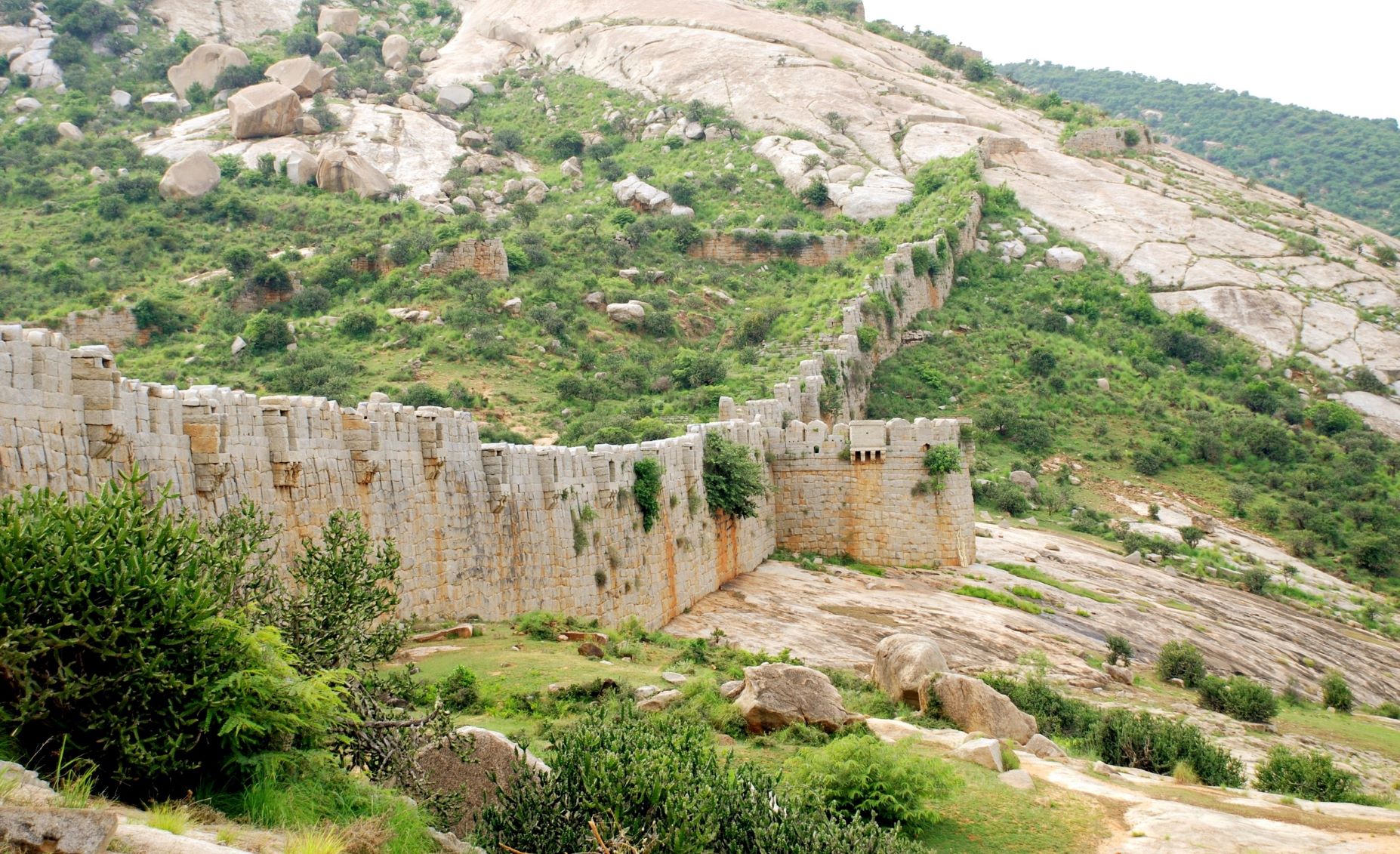 A view showing the defense wall and bastions on the northern side. Image Source: Archaeological Survey of India.