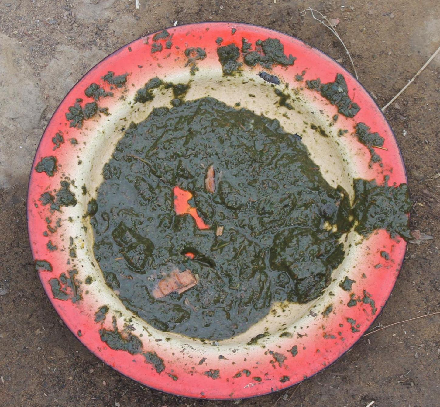 Khor (Rice beer of Tangkhul)