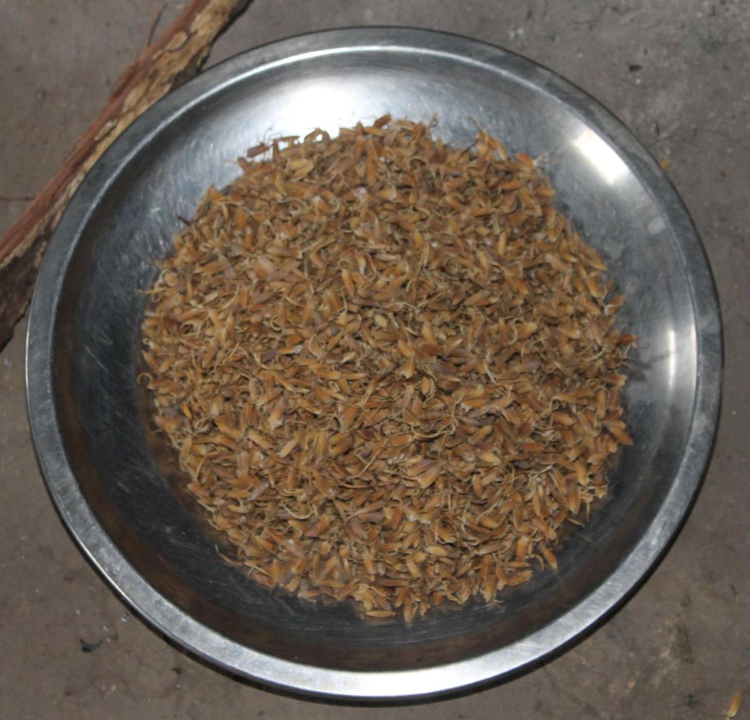 Khor (Rice beer of Tangkhul)