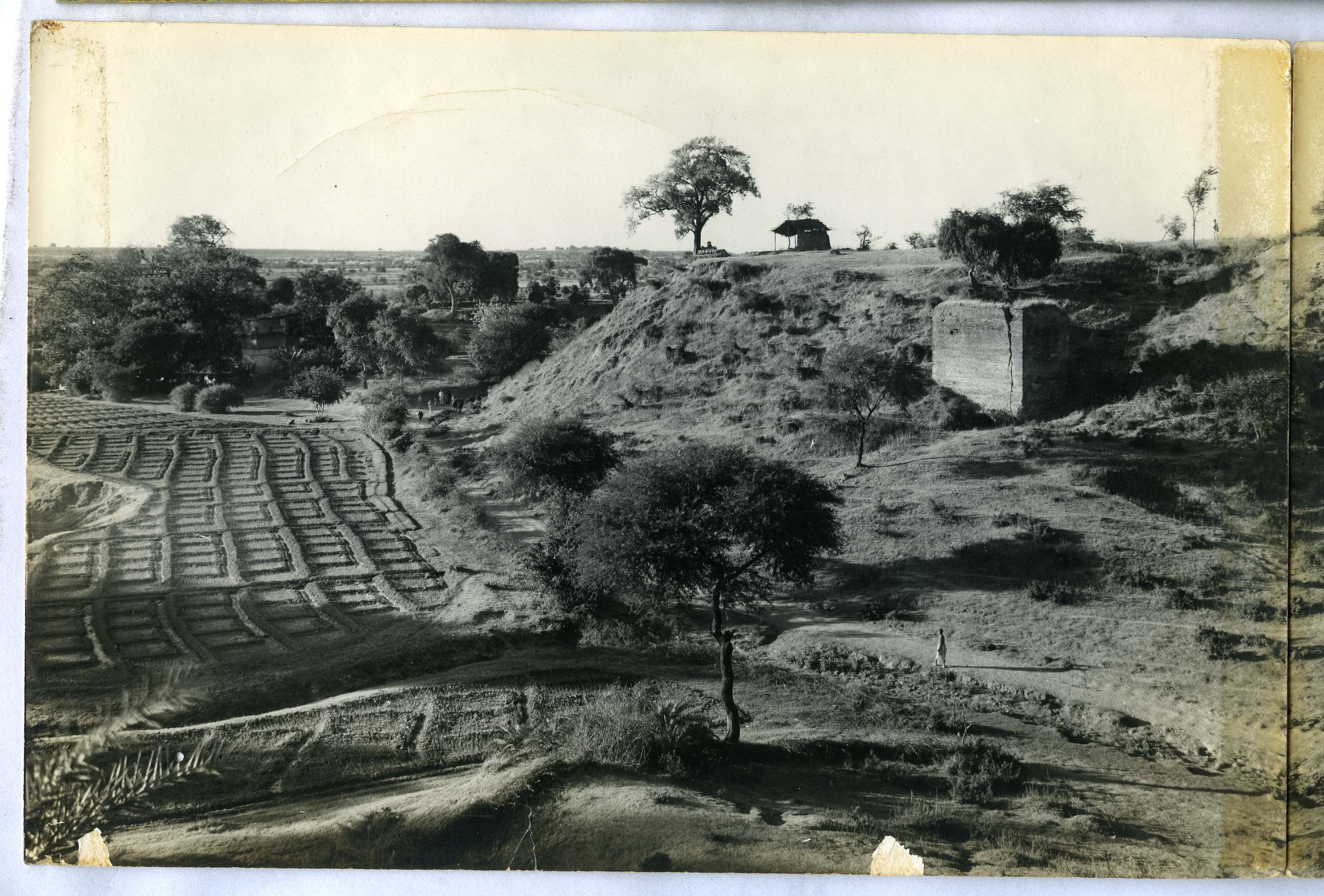 UJJAIN-EXCAVATION-8-1956-57-008.jpg