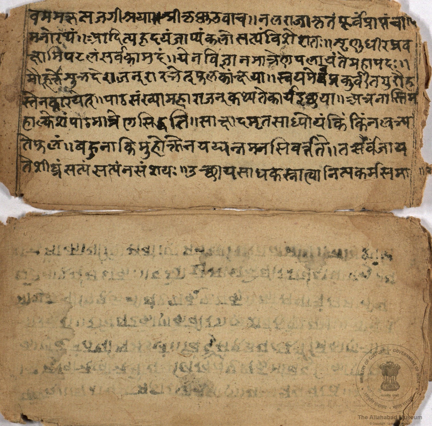 alh_ald-AM--MSS-61-644-9392_03_h.jpg