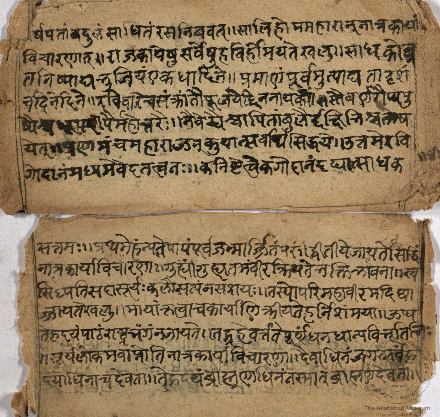 alh_ald-AM--MSS-61-644-9392_05_h.jpg