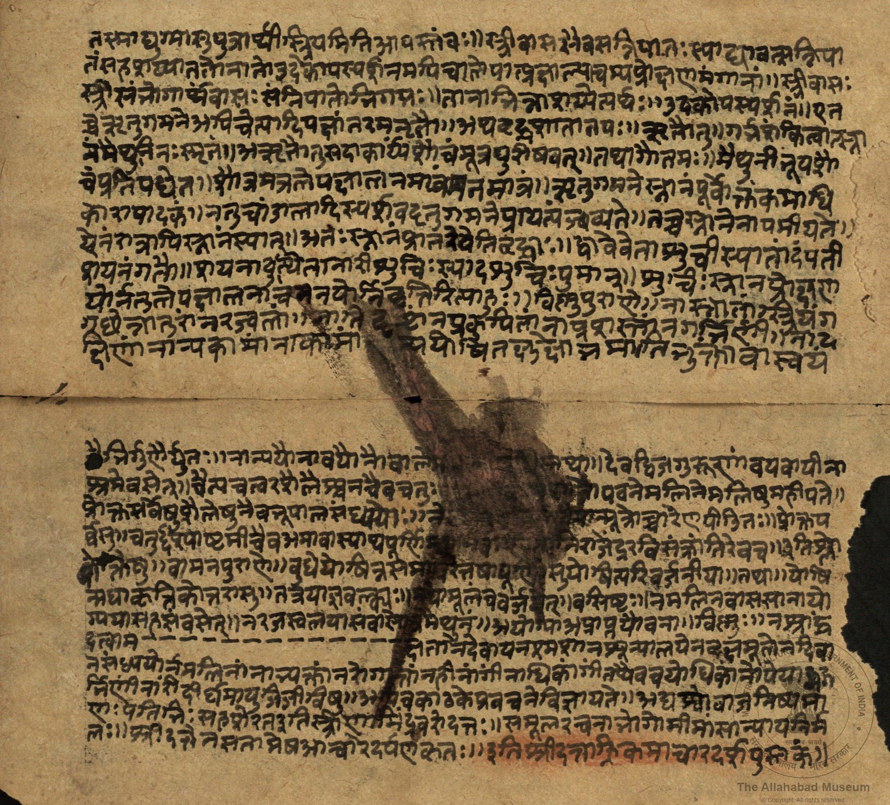 alh_ald-AM-MSS-57-587-9278_03_h.jpg
