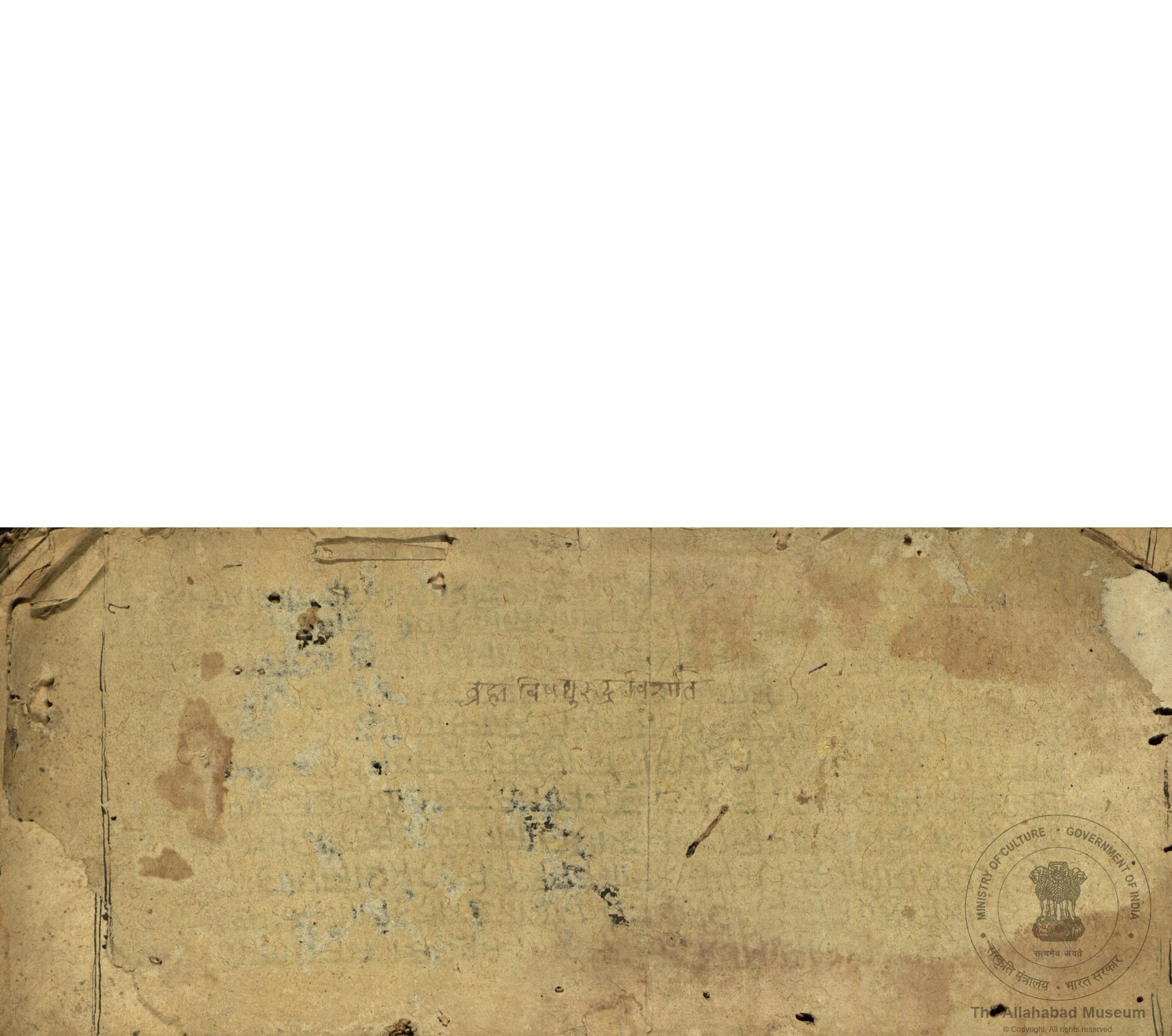 alh_ald-AM-MSS-57-595-9316_01_h.jpg alh_ald-AM-MSS-57-595-9316_01_h.jpg