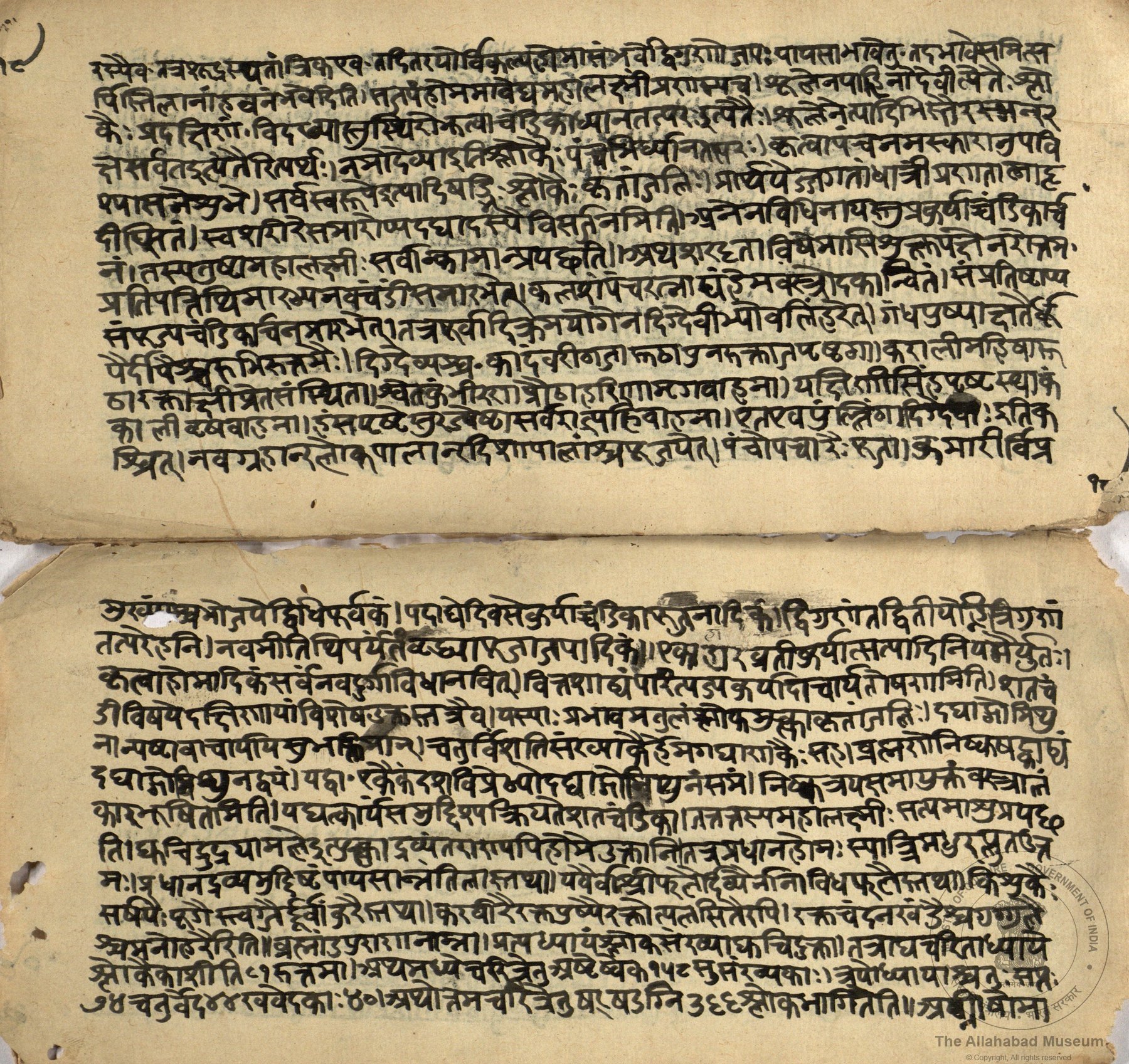 alh_ald-AM-MSS-82-2346-12845_03_h.jpg