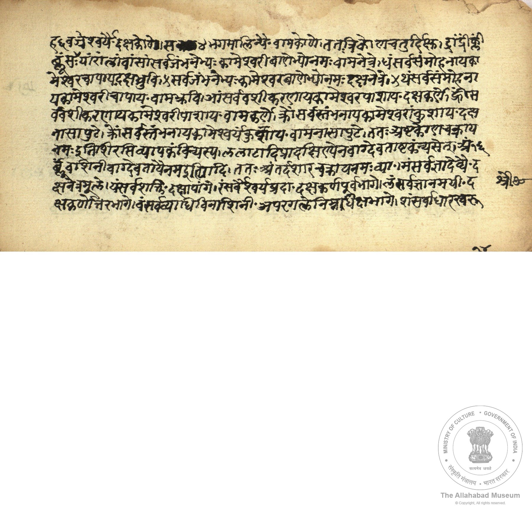 alh_ald-AM-MSS-71-1231-10419_04_h.jpg alh_ald-AM-MSS-71-1231-10419_04_h.jpg