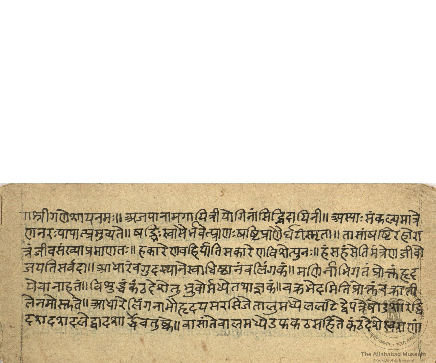 alh_ald-AM-MSS-76-1757-11236_01_h.jpg