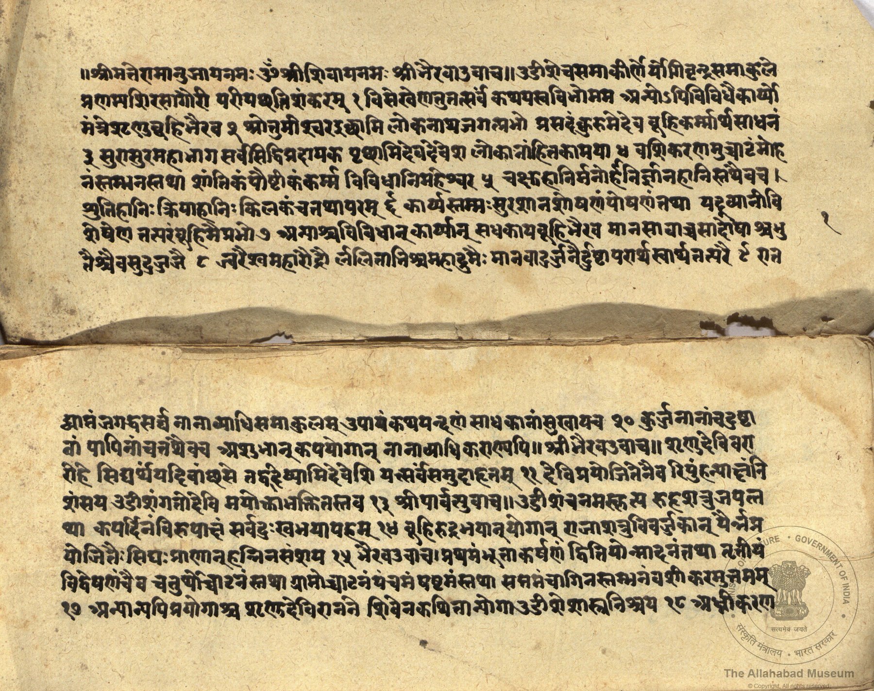 alh_ald-AM-MSS-72-1279-10467_02_h.jpg