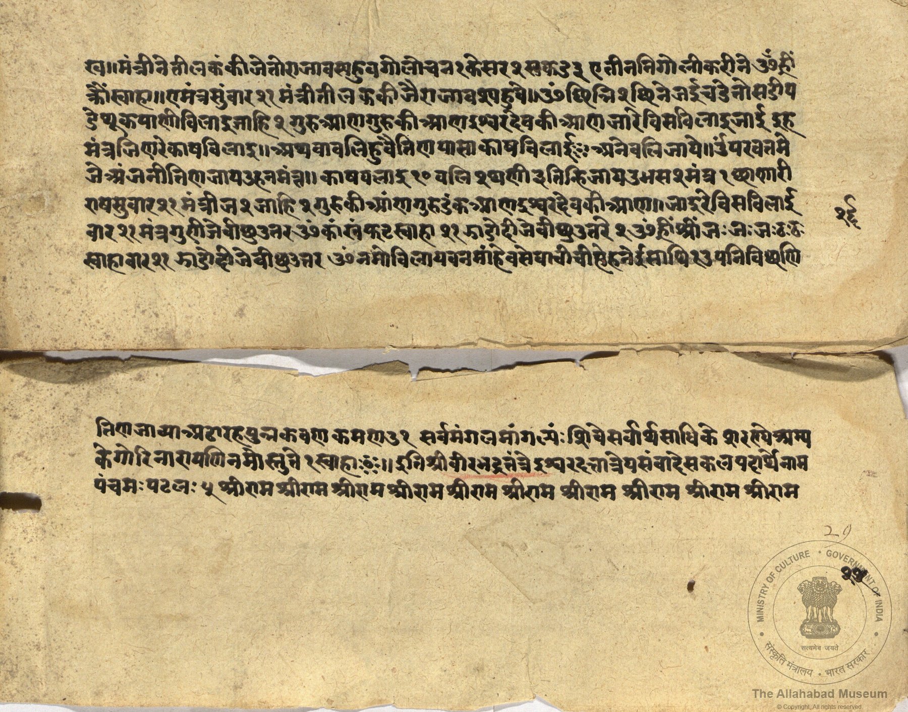 alh_ald-AM-MSS-72-1279-10467_03_h.jpg