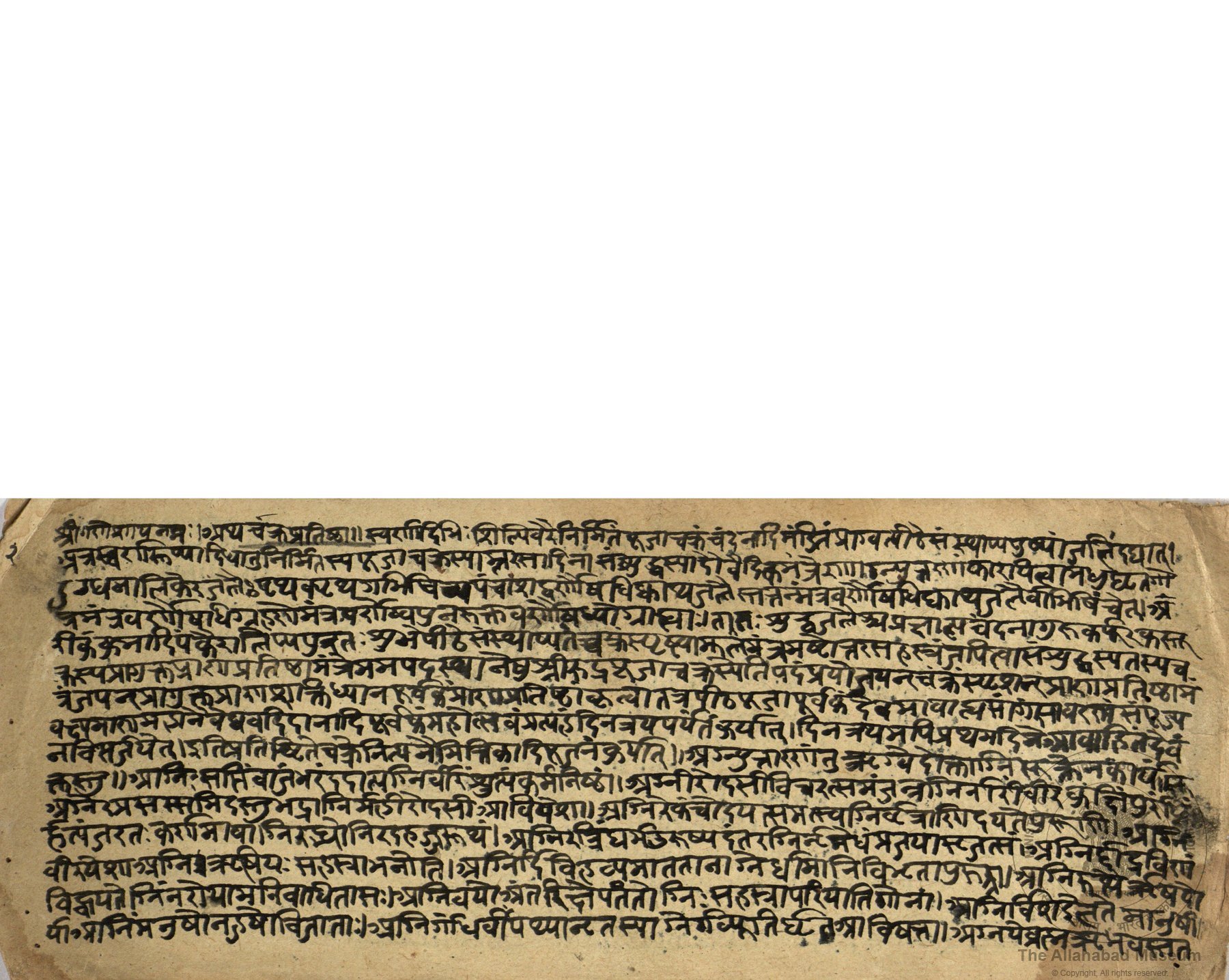 alh_ald-AM-MSS-82-2365-12864_01_h.jpg