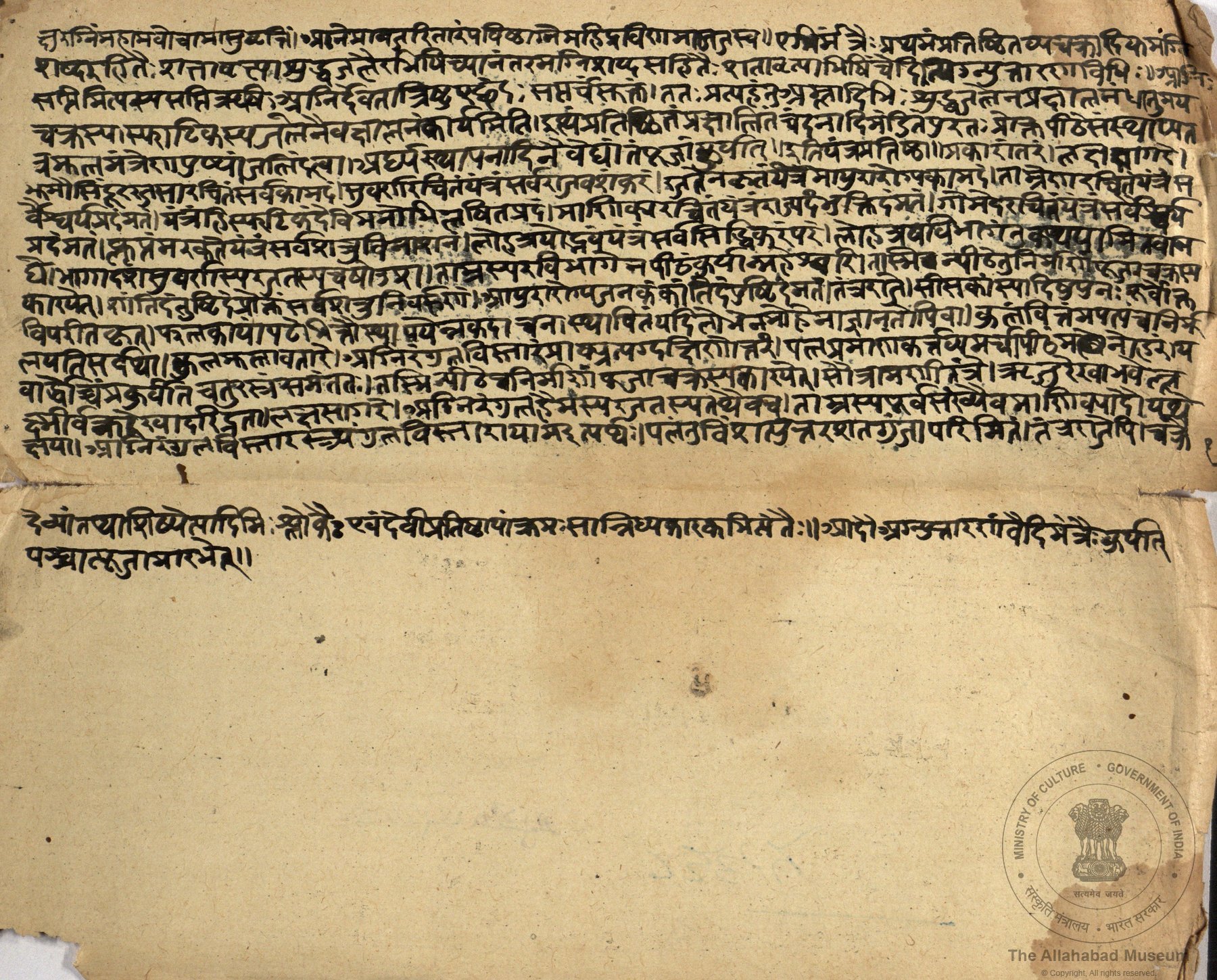 alh_ald-AM-MSS-82-2365-12864_02_h.jpg