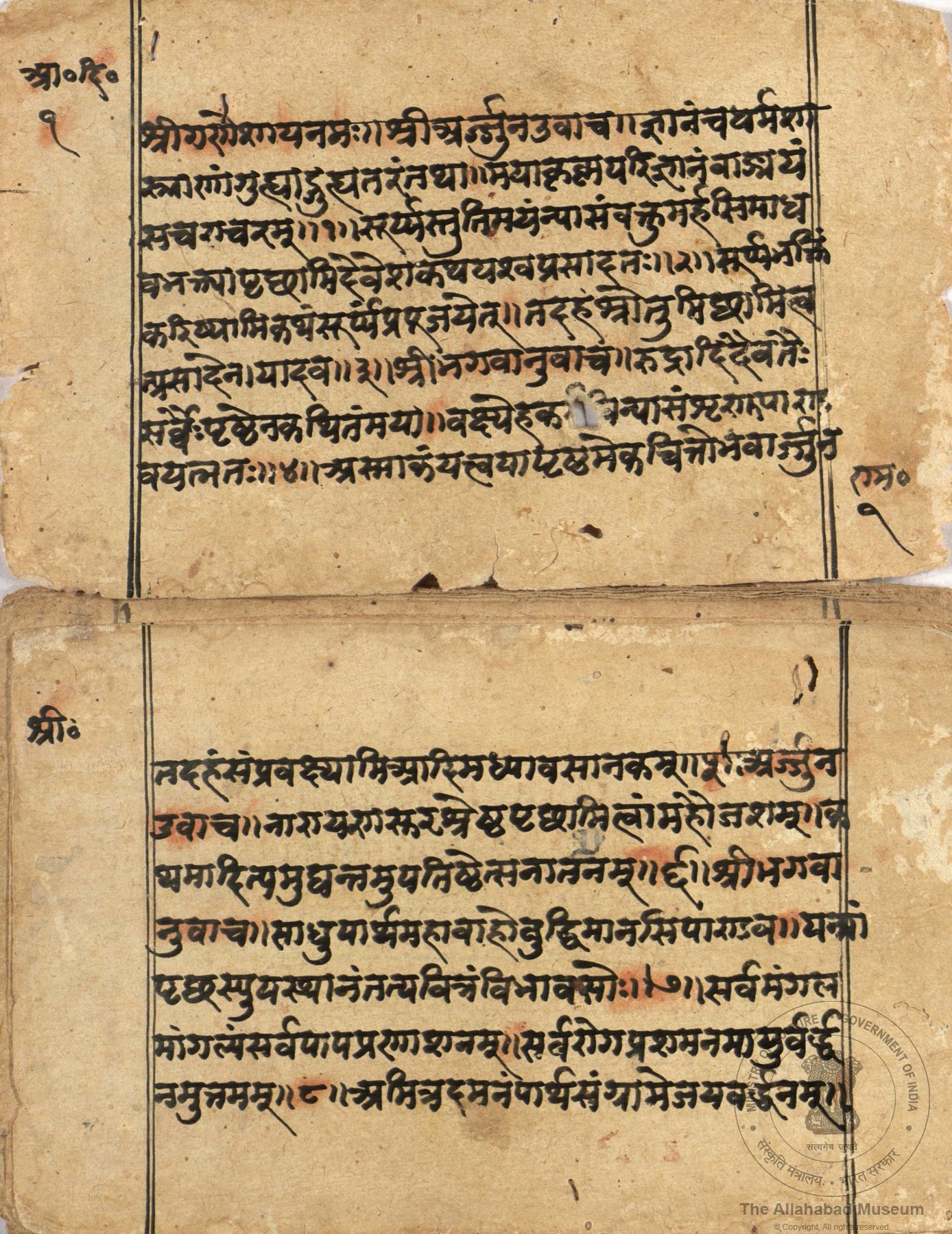 alh_ald-AM-MSS-72-1295-10483_02_h.jpg