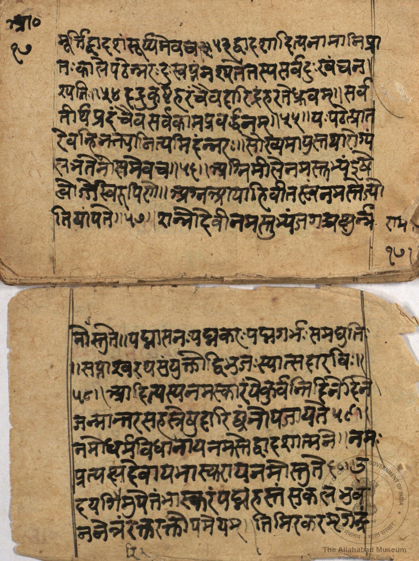 alh_ald-AM-MSS-72-1295-10483_03_h.jpg