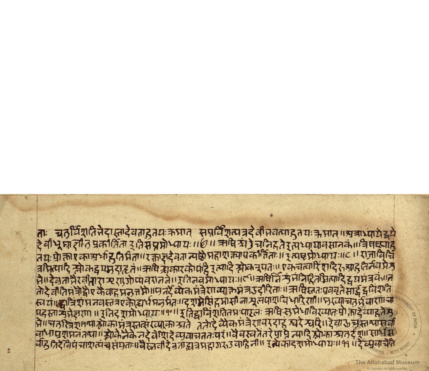alh_ald-AM-MSS-82-2376-12875_01_h.jpg alh_ald-AM-MSS-82-2376-12875_01_h.jpg