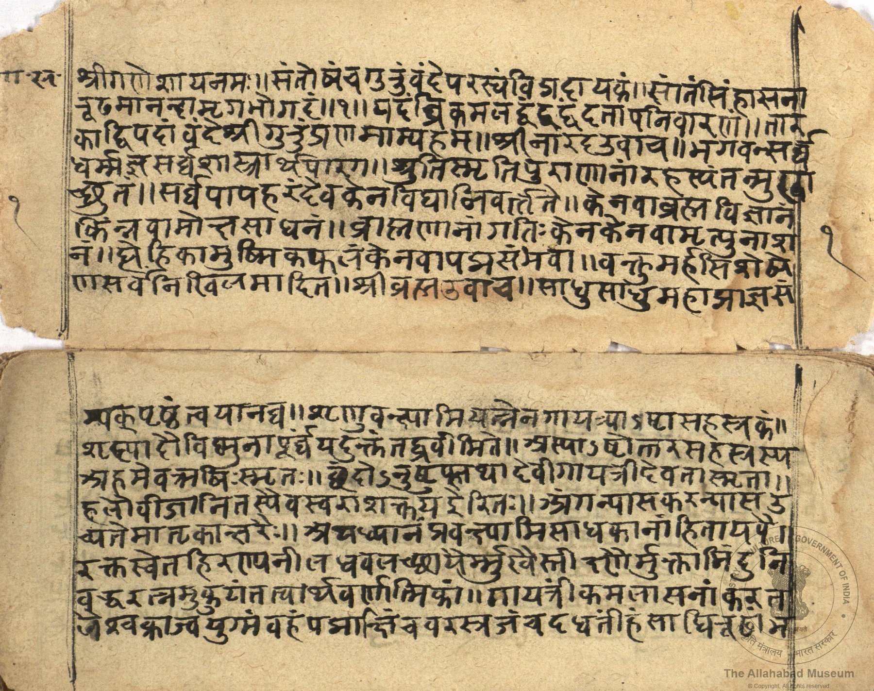 alh_ald-AM-MSS-72-1309-10509_02_h.jpg