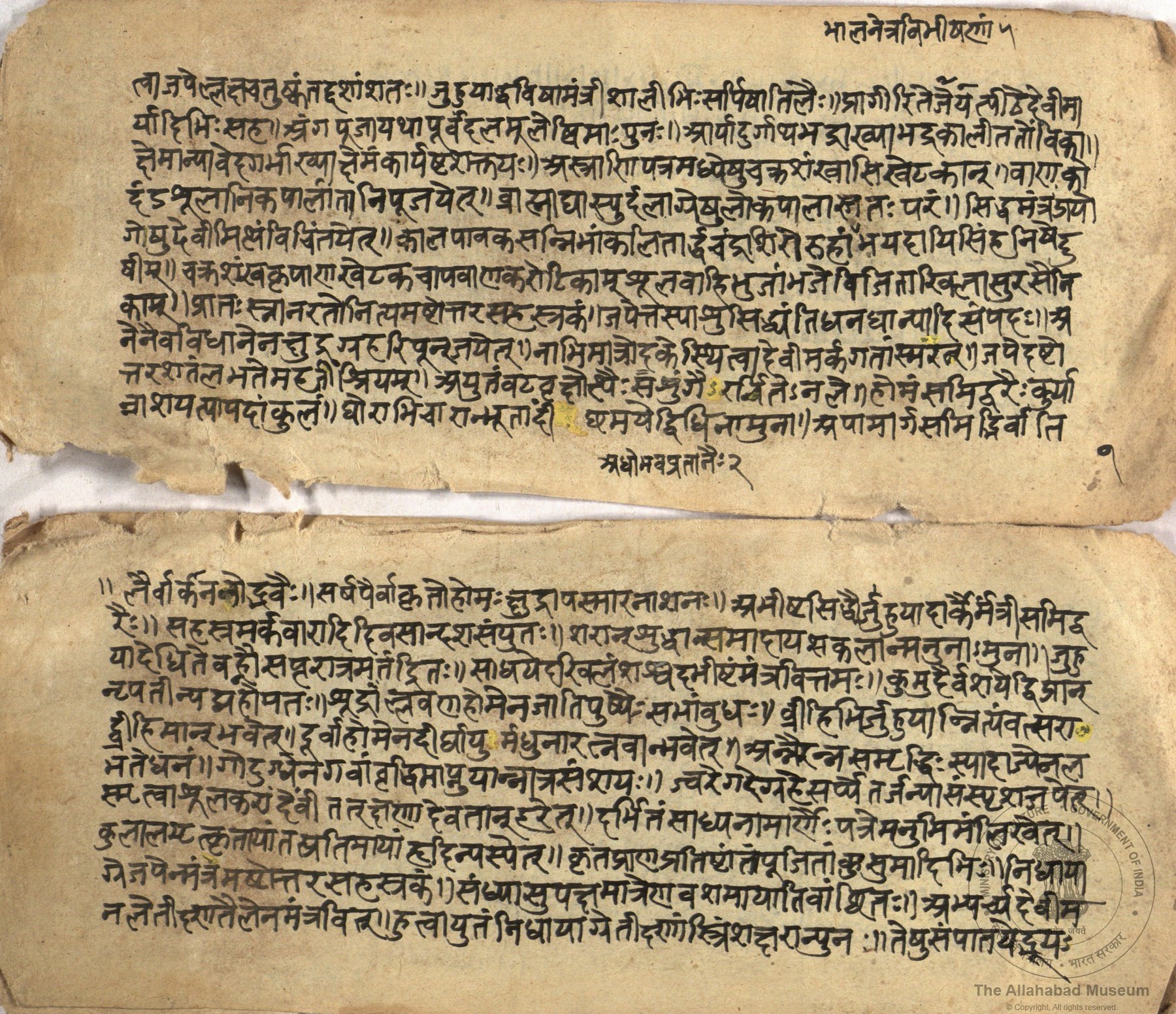 alh_ald-AM-MSS-73-1441-10675_02_h.jpg alh_ald-AM-MSS-73-1441-10675_02_h.jpg