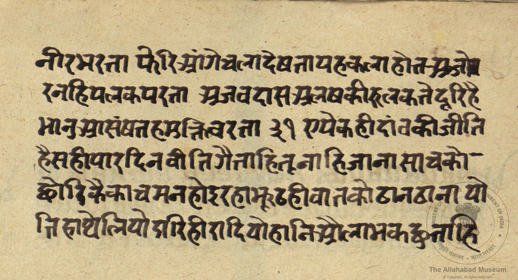 alh_ald-AM-MSS-230-302-18637_05_h.jpg