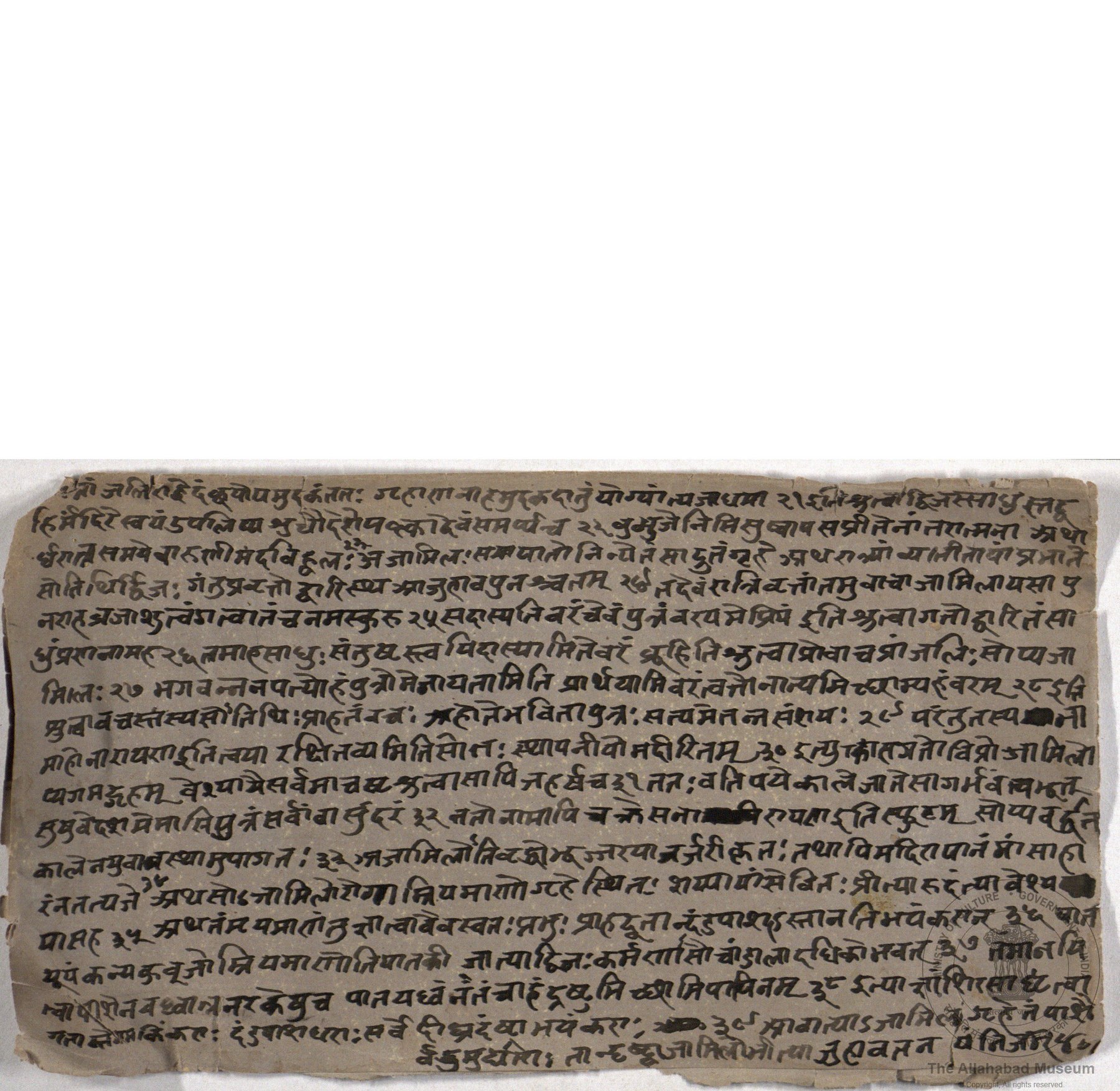 alh_ald-AM-MSS-84-2512-13012_01_h.jpg