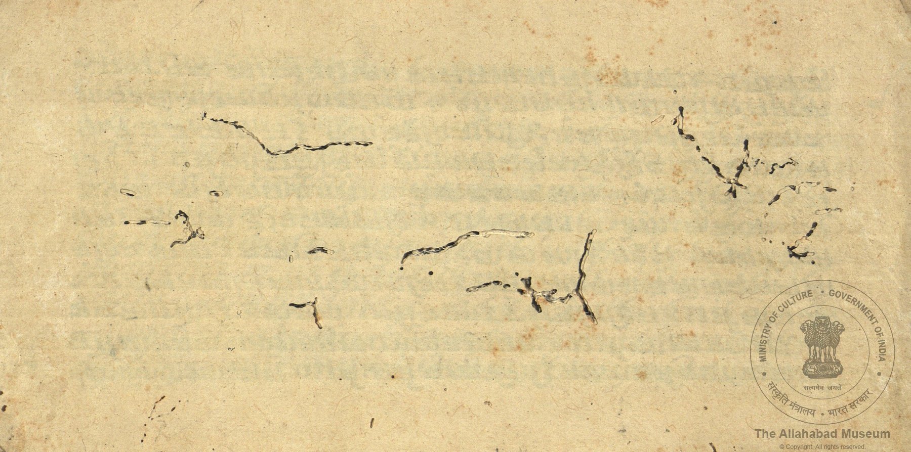 alh_ald-AM-MSS-129-418-16182_01_h.jpg alh_ald-AM-MSS-129-418-16182_01_h.jpg