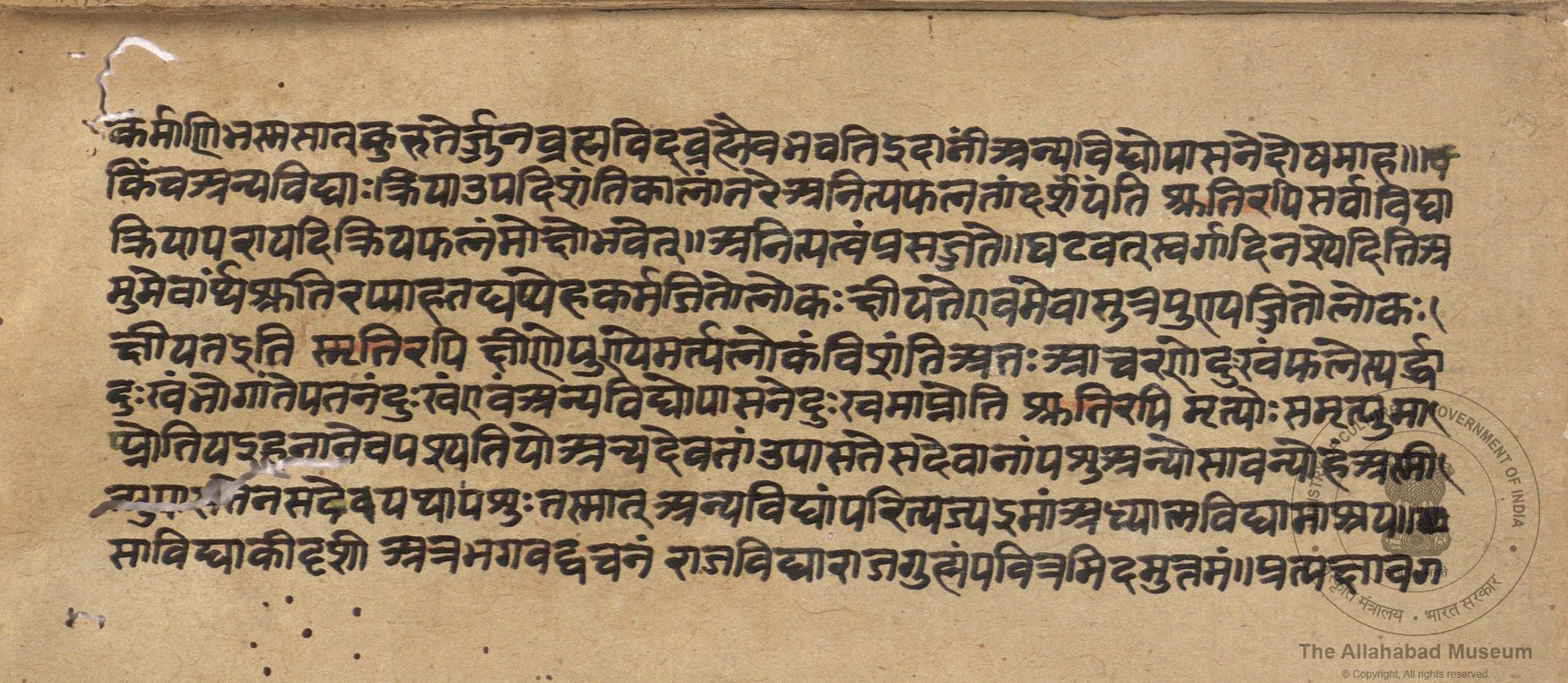 alh_ald-AM-MSS-180-556-17282_05_h.jpg