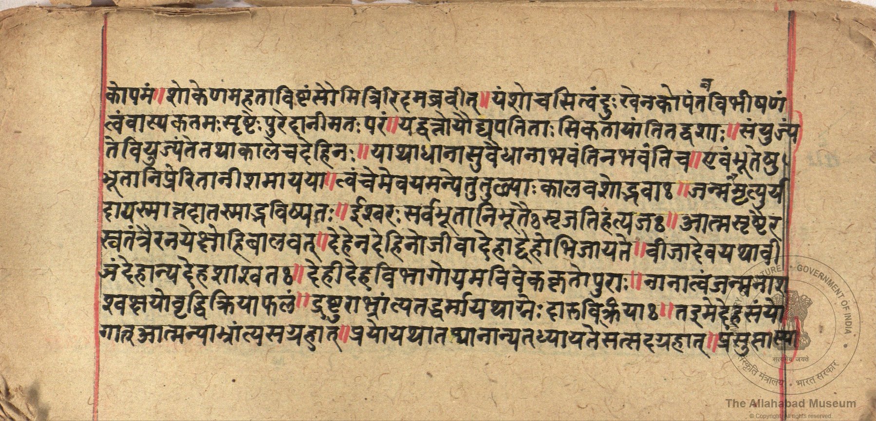 alh_ald-AM-MSS-181-3-17443_03_h.jpg