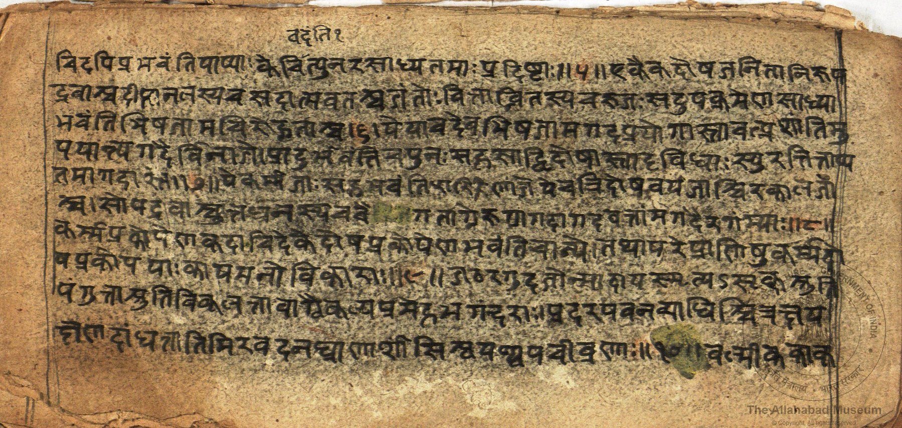 alh_ald-AM-MSS-140-56-16291_03_h.jpg