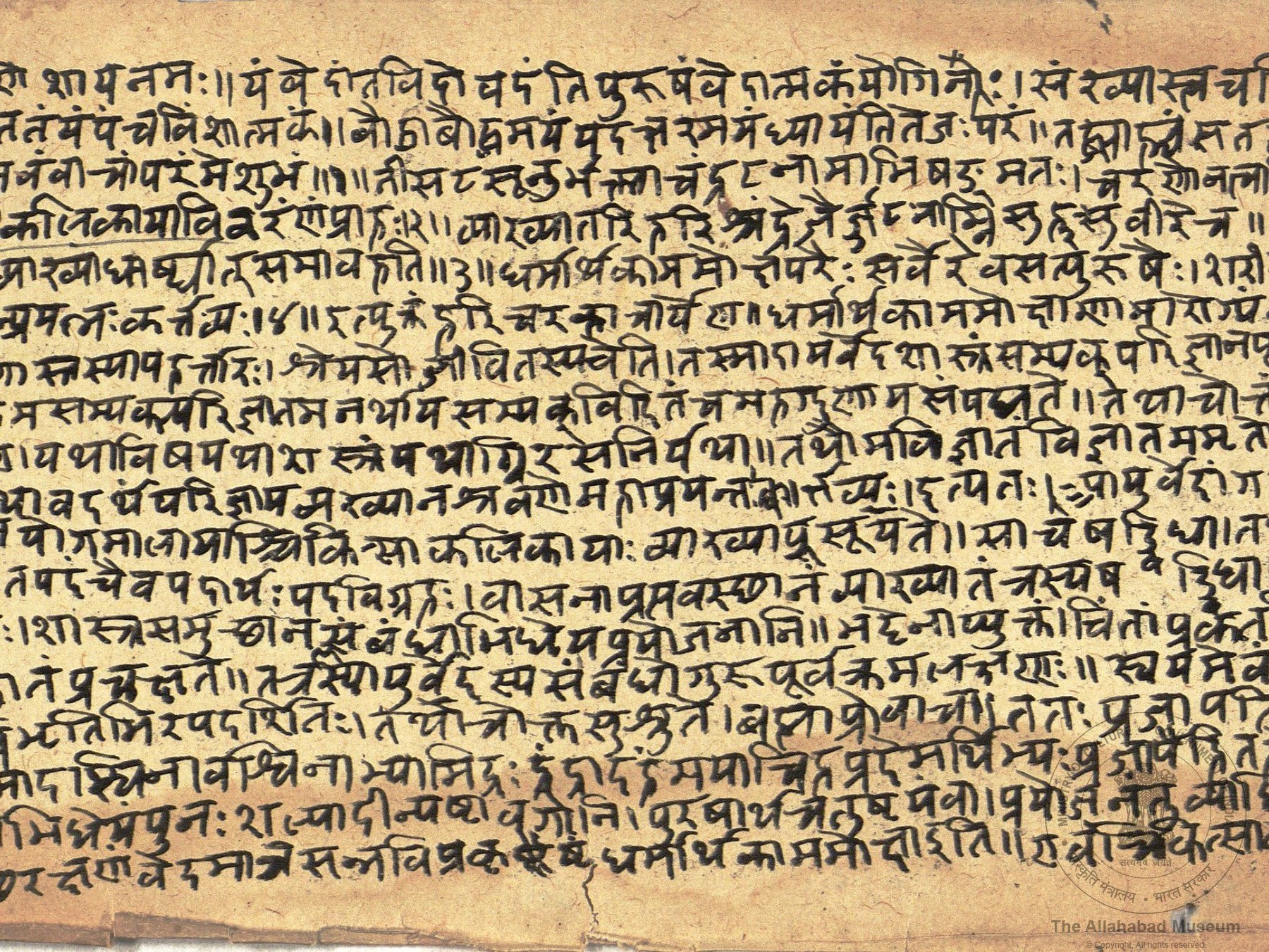 alh_ald-AM-MSS-140-69-16299_02_h.jpg