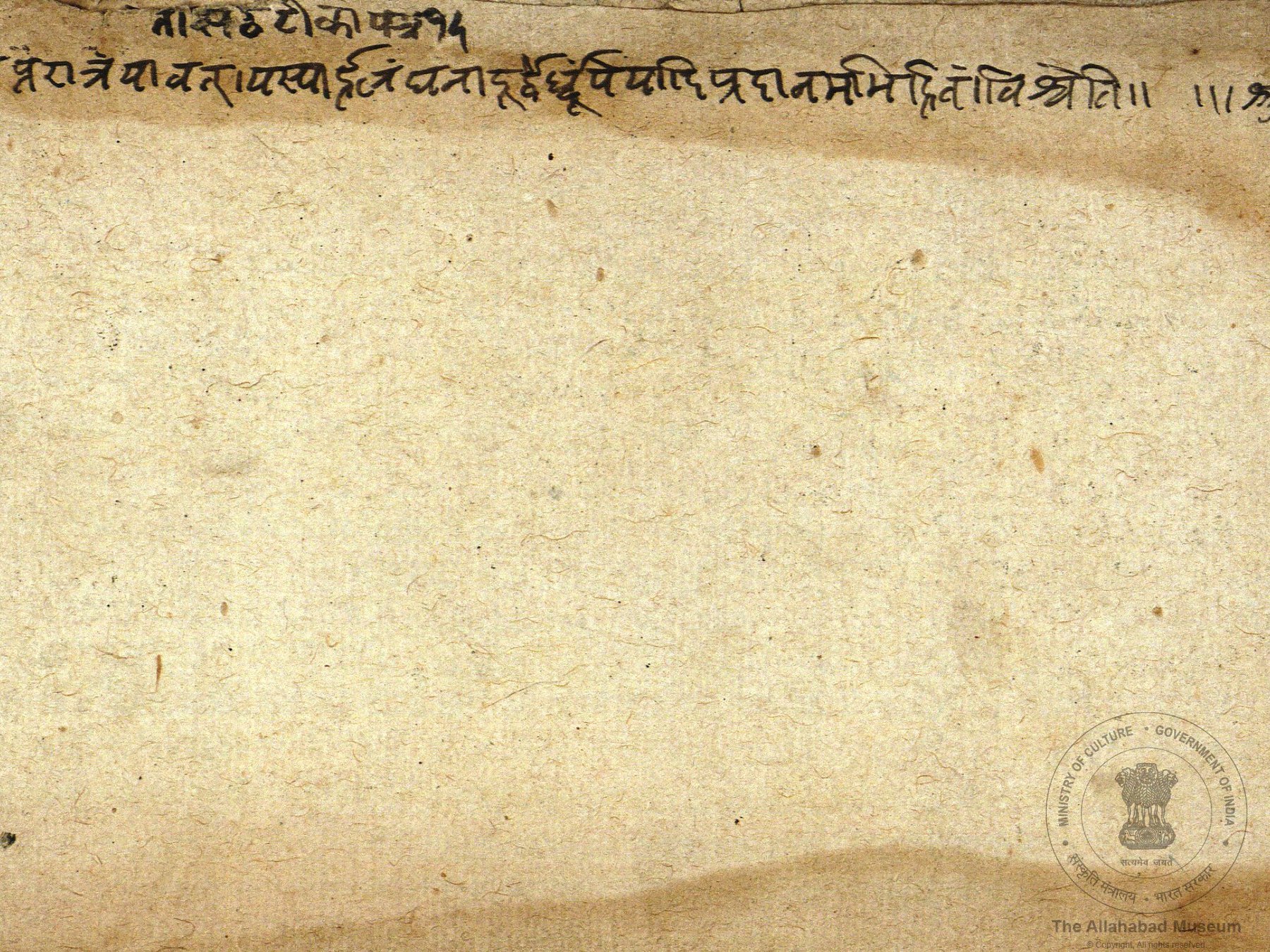 alh_ald-AM-MSS-140-69-16299_06_h.jpg