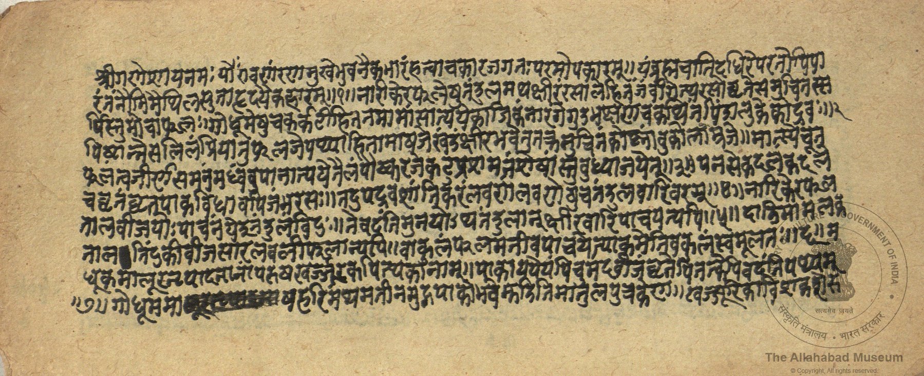 alh_ald-AM-MSS-142-94-16753_01_h.jpg