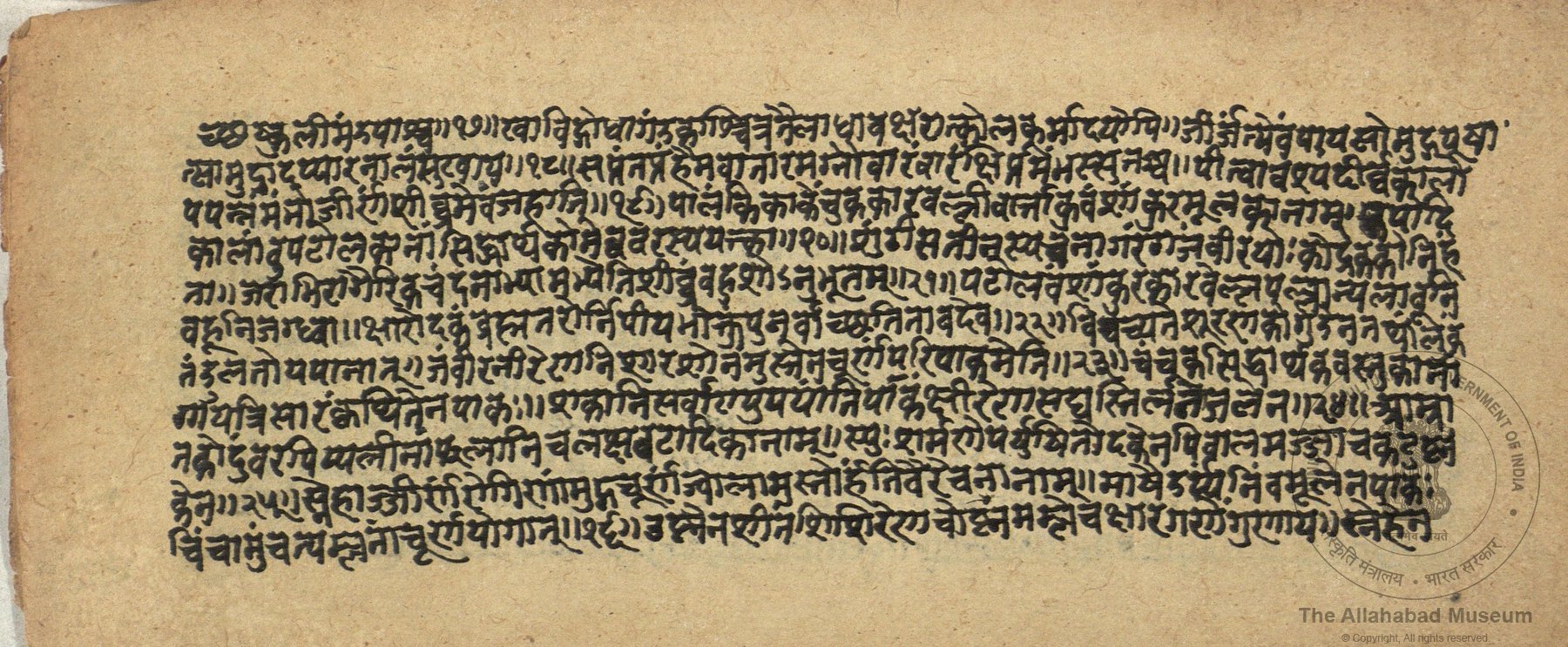 alh_ald-AM-MSS-142-94-16753_03_h.jpg