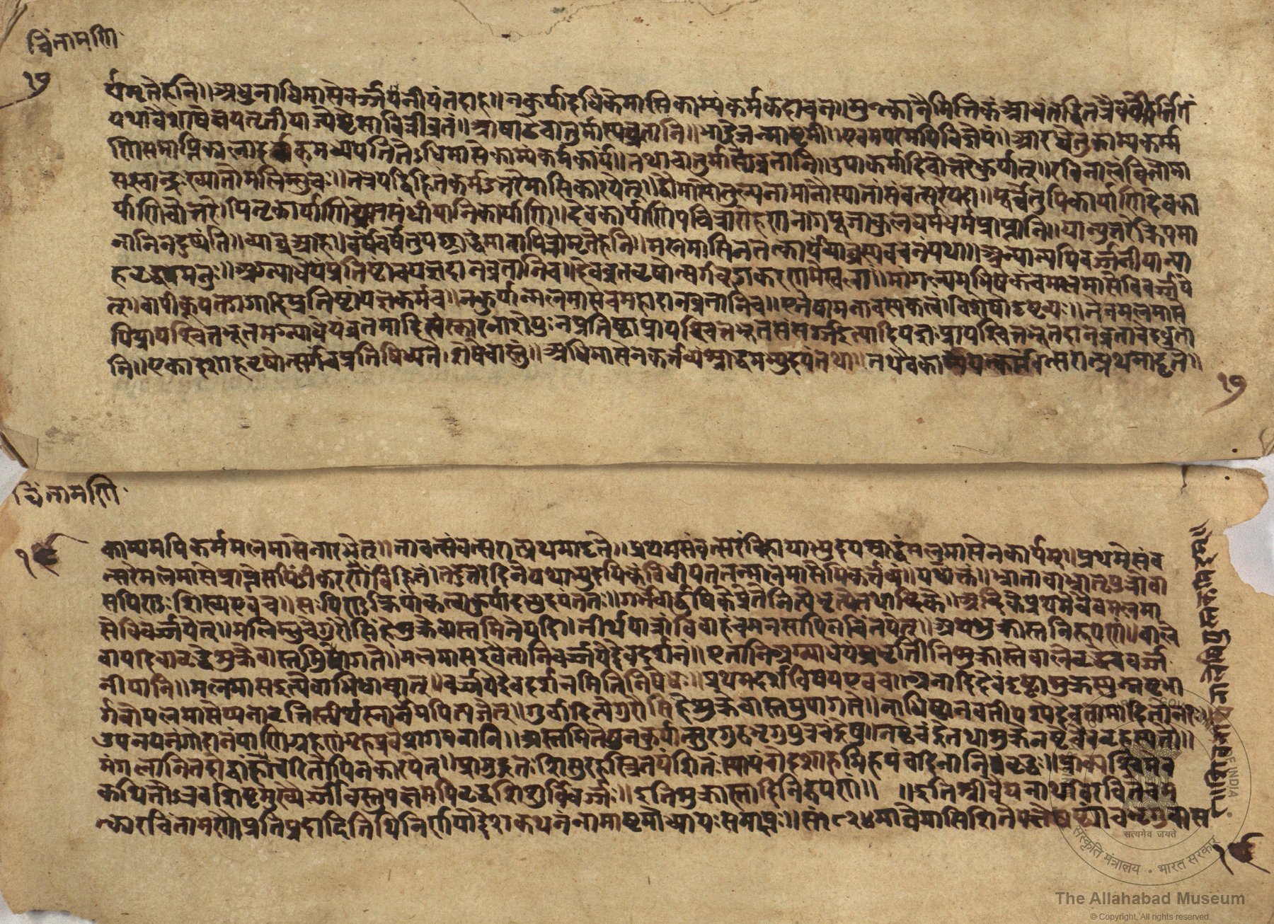 alh_ald-AM-MSS-104-376-14723_03_h.jpg