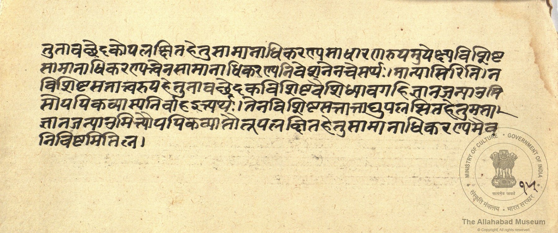 alh_ald-AM-MSS-156-45-16462_05_h.jpg alh_ald-AM-MSS-156-45-16462_05_h.jpg