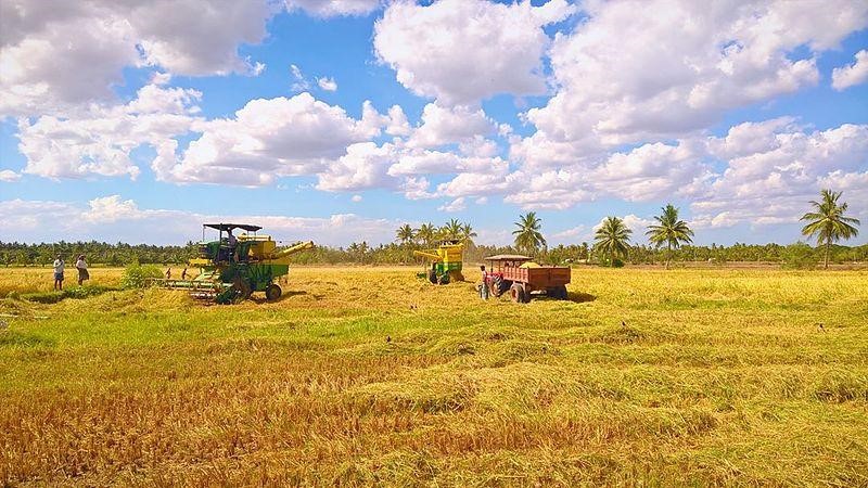 Agricultural land in Tamil Nadu