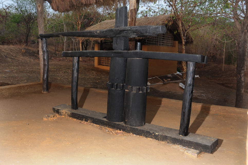 DSC_7447.jpg DSC_7447.jpg