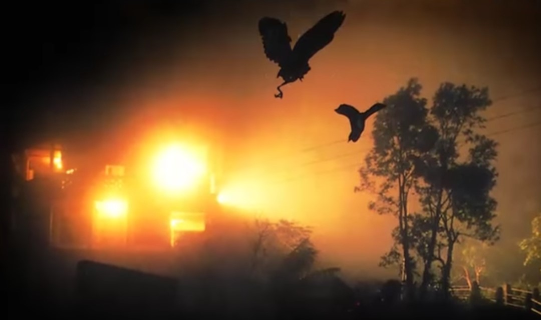 The Mystery Of Jatinga’s Suicidal Birds