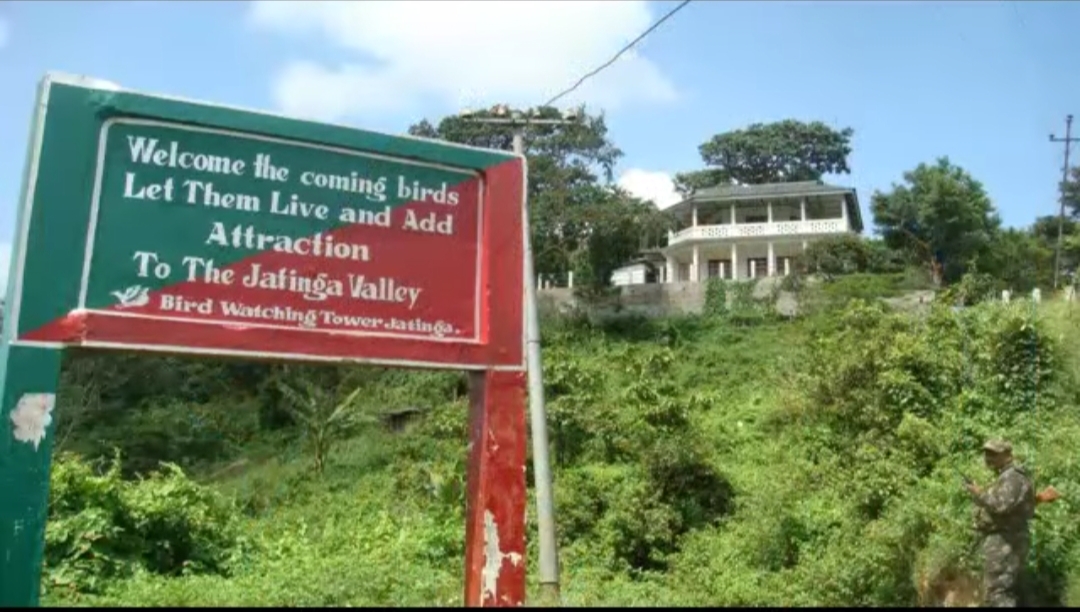 The Mystery Of Jatinga’s Suicidal Birds