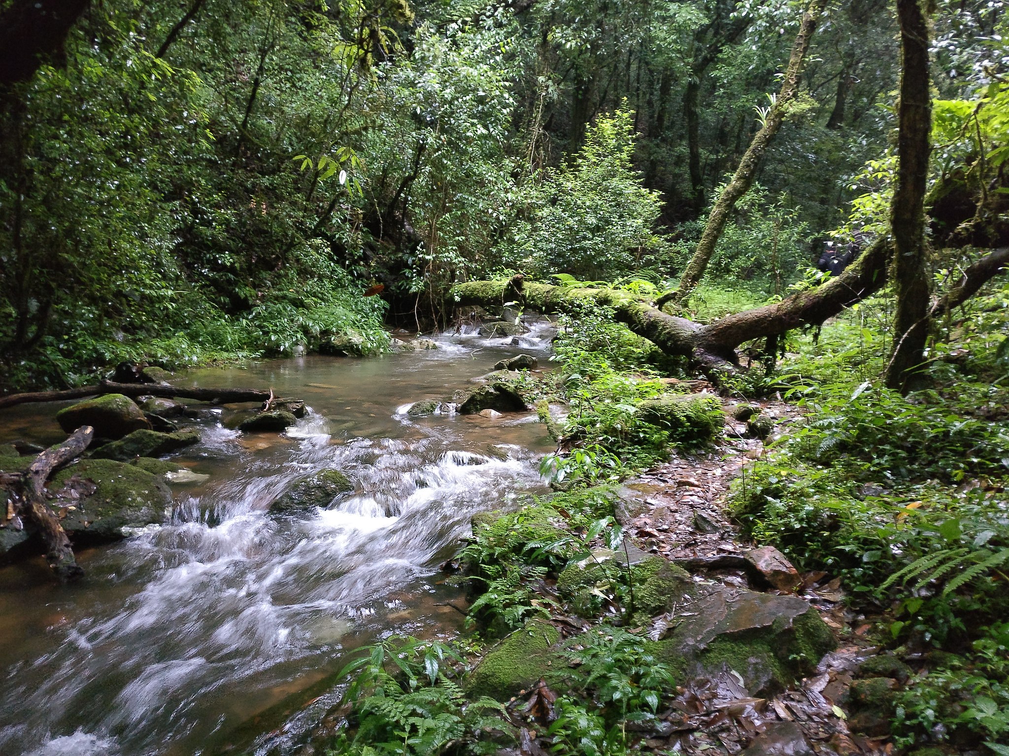 Gingee hill