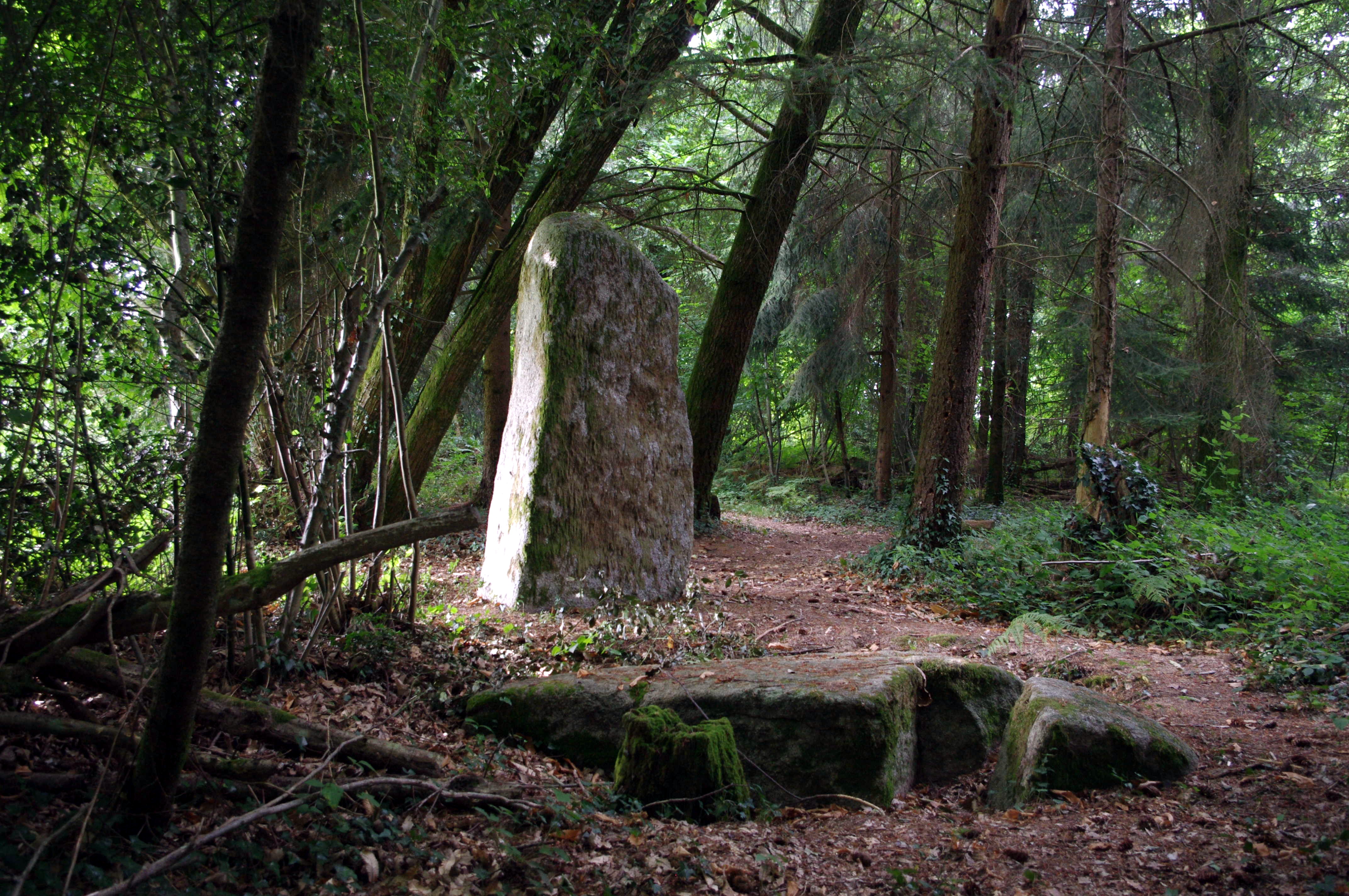 Gingee hill
