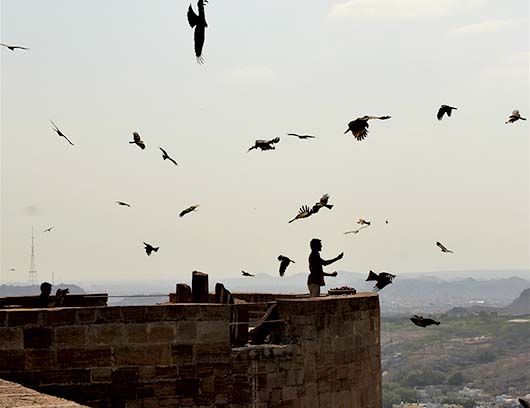 Eagles of Mehrangarh: Guardians of Marwar 